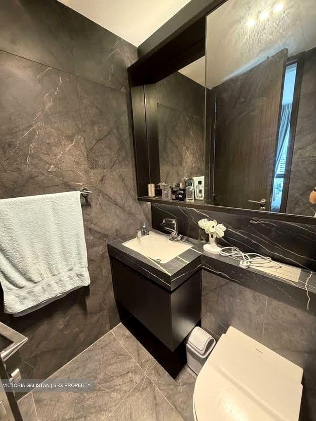Hyll On Holland (D10), Condominium #547290221